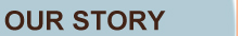 Story Page
